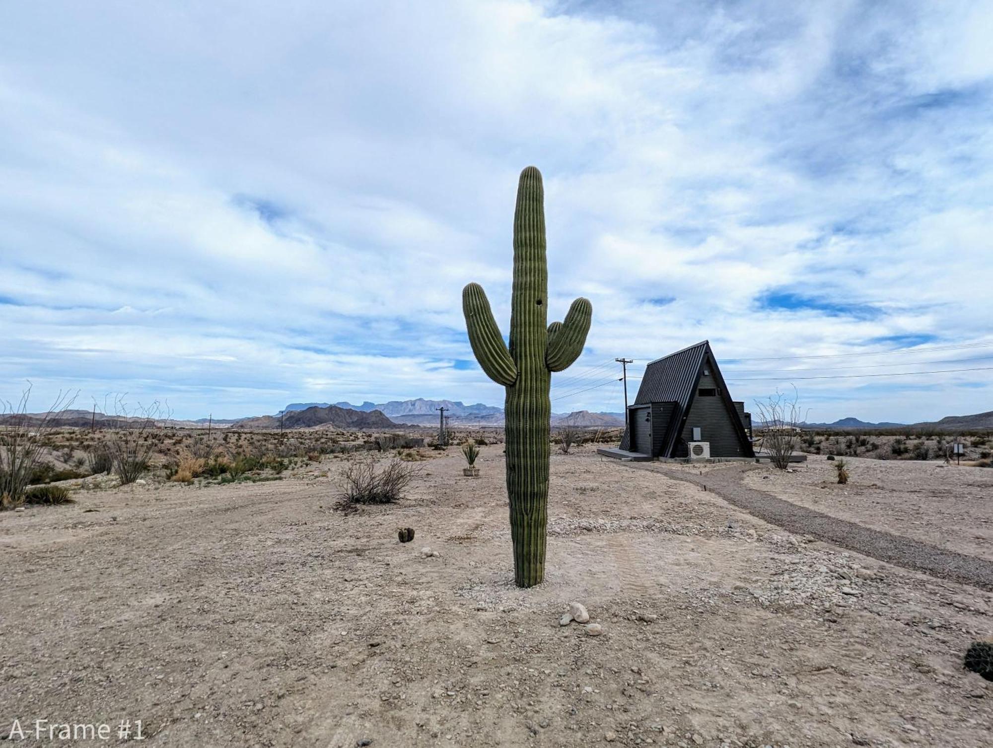 فيلا Stardust Big Bend Luxury A-Frame#5 Great Views تيرلينغوا المظهر الخارجي الصورة